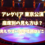 アレグリア東京公演の座席別の見え方は？見えやすいおすすめはどこ？