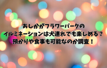 あしかがフラワーパークのイルミネーションは犬連れでも楽しめる？預かりや食事も可能なのか調査！