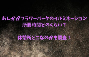 あしかがフラワーパークのイルミネーション所要時間どのくらい？休憩所どこなのかも調査！