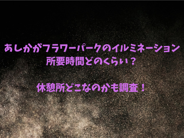 あしかがフラワーパークのイルミネーション所要時間どのくらい？休憩所どこなのかも調査！